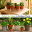 50 Pzas Platillos Transparentes 6" para Plantas Resistentes