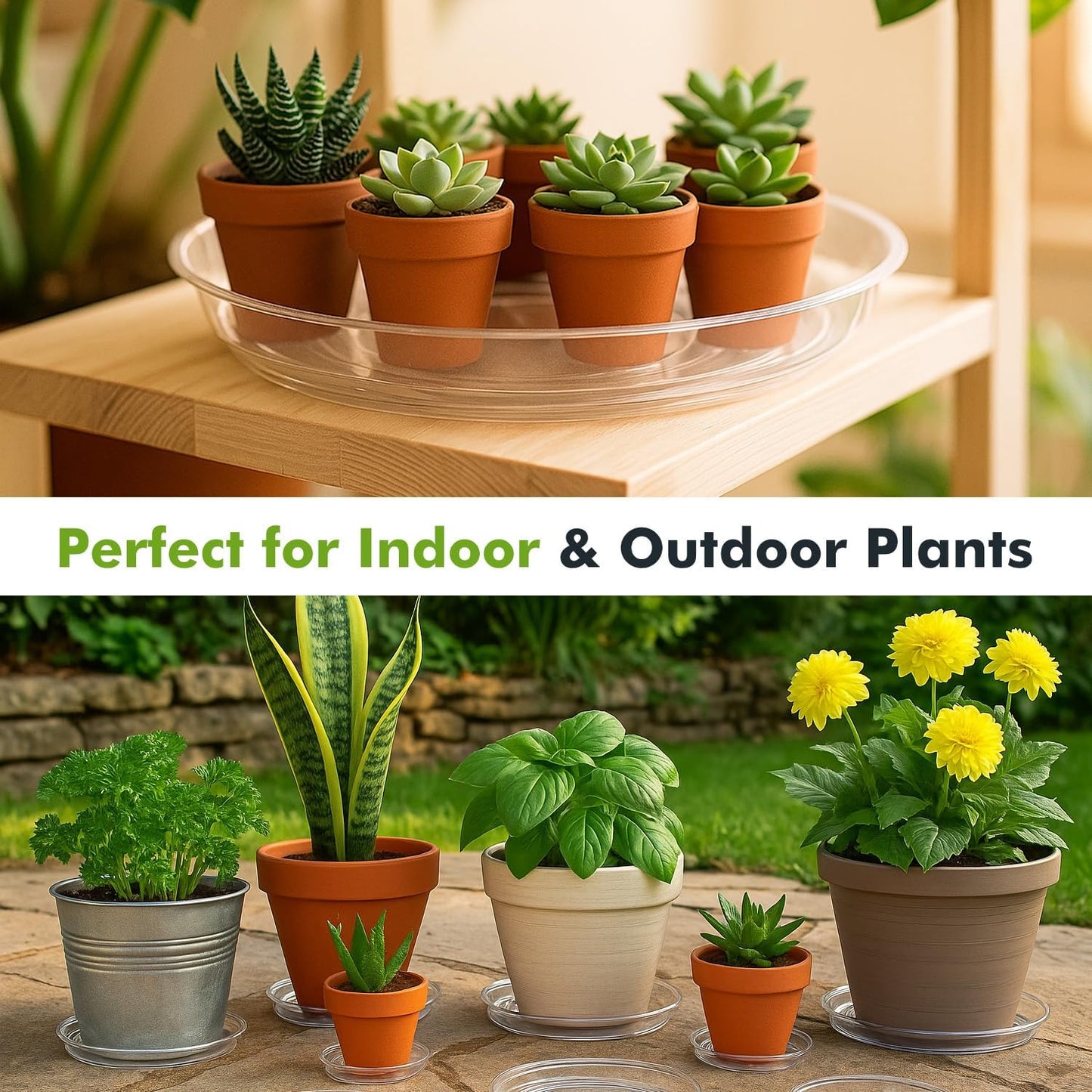 50 Pzas Platillos Transparentes 6" para Plantas Resistentes