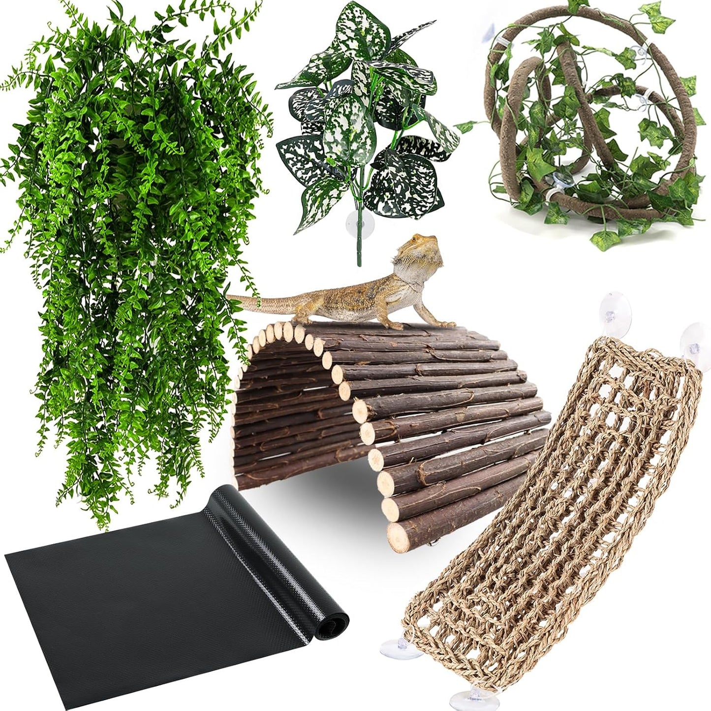 Accesorios terrario dragón barbudo hamaca puente plantas