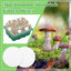 24 Filtros Monotub Autoadhesivos para Cultivo Hongos