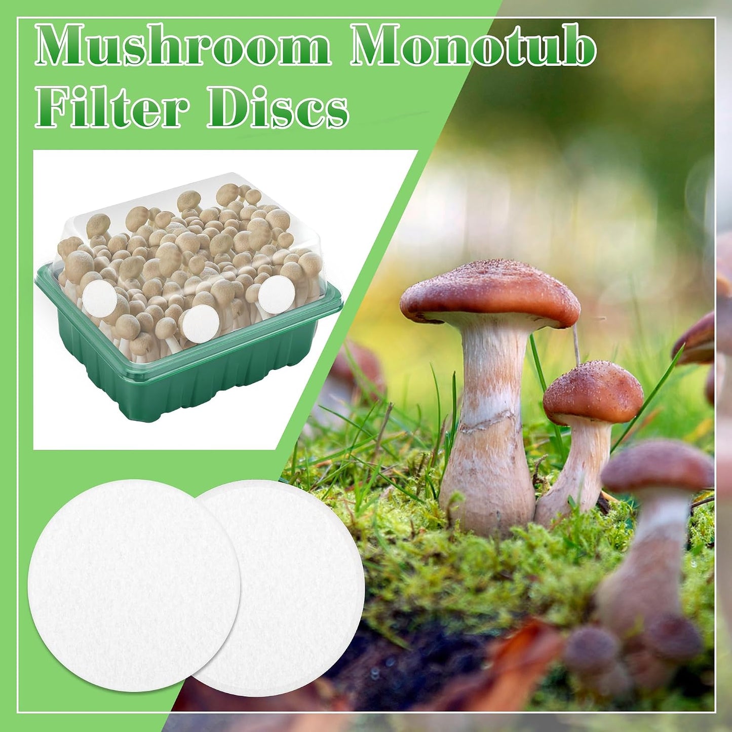 24 Filtros Monotub Autoadhesivos para Cultivo Hongos