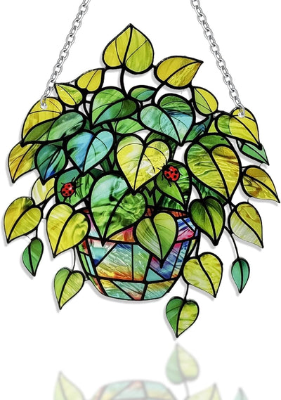 Atrapasoles cristal para plantas vitral colgar ventana