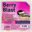 Pack 10 Berry Blast DD15-10
