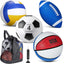 Set 4 pelotas deportivas con inflador para patio
