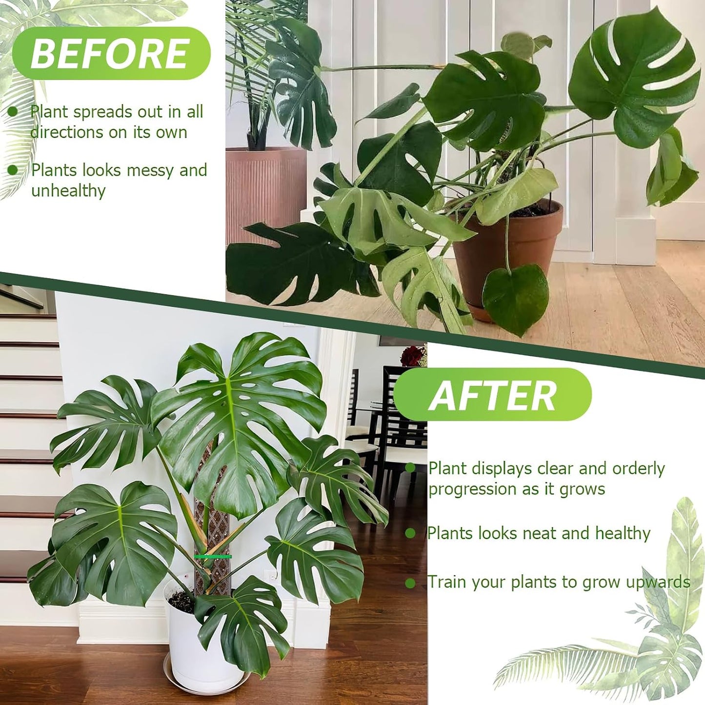 4 Postes D de 16" para plantas con musgo Sphagnum blanco