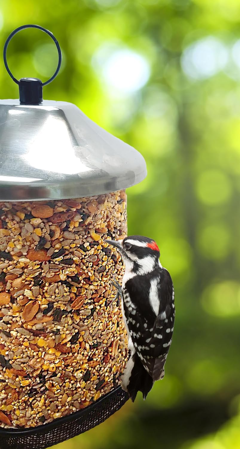 Torre semillas 2 pack para aves silvestres
