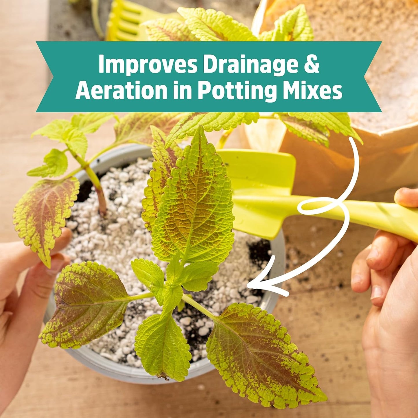 Perlita orgánica 24qt para plantas interior y exterior