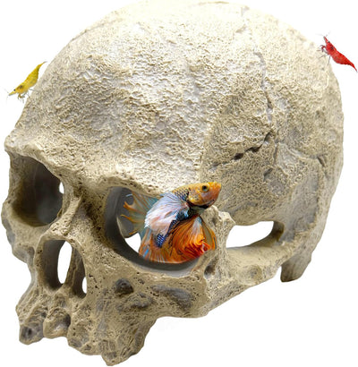 Decoración cráneo humano para acuario peces Betta