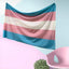 Bandera trans para pared 40x60pulg