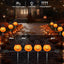 Luces calabaza Halloween al aire libre con estaca LED