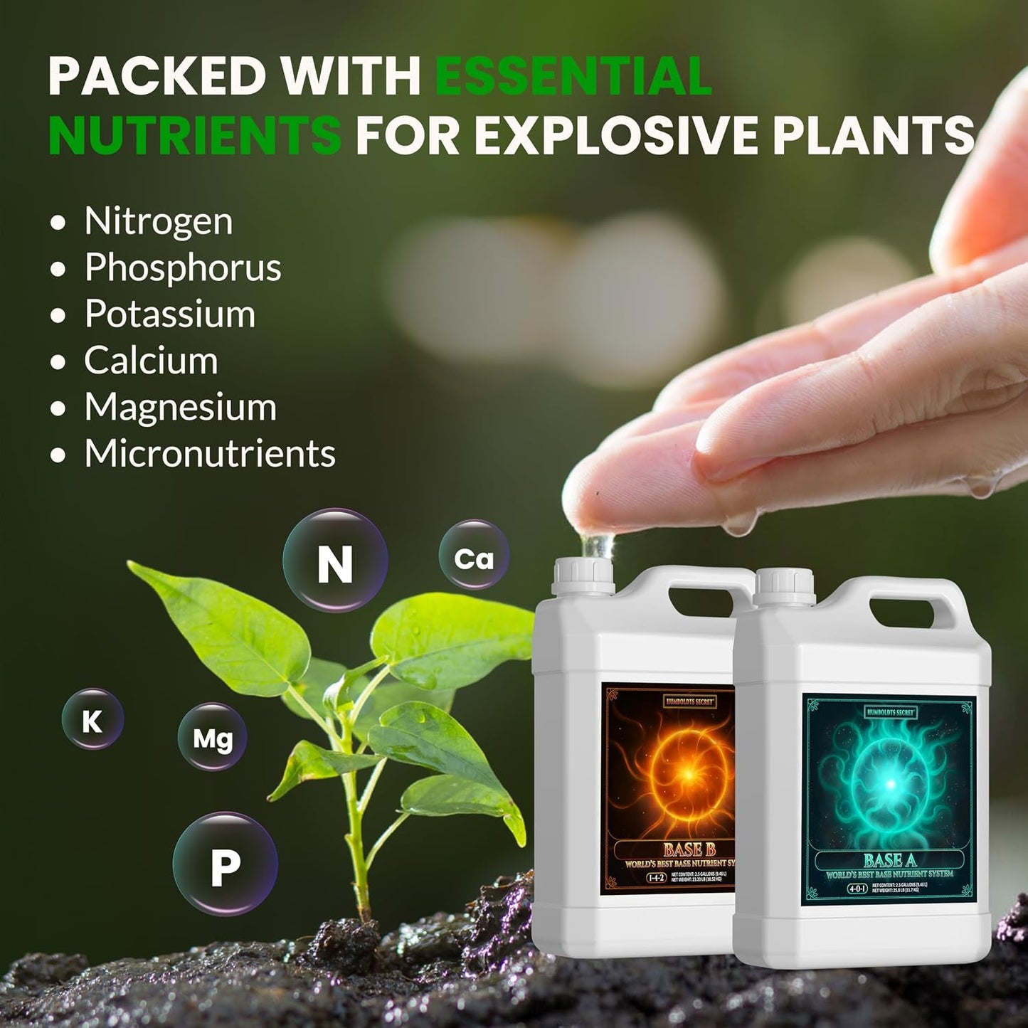 Base A y B fertilizante hidropónico para plantas