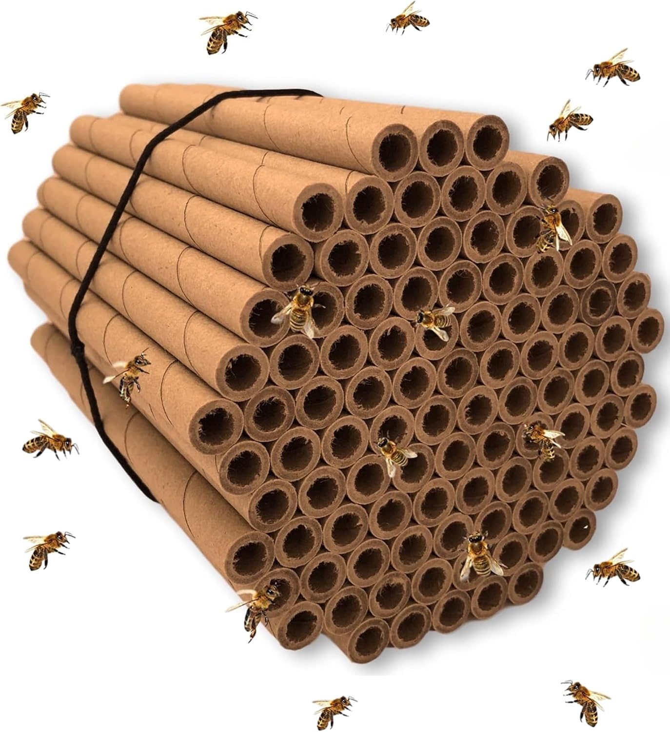 Pack 100 tubos cartón para abejas 6" 5/16diámetro