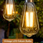 6 Bombillas LED Edison E26 2200K 700LM Luz Cálida