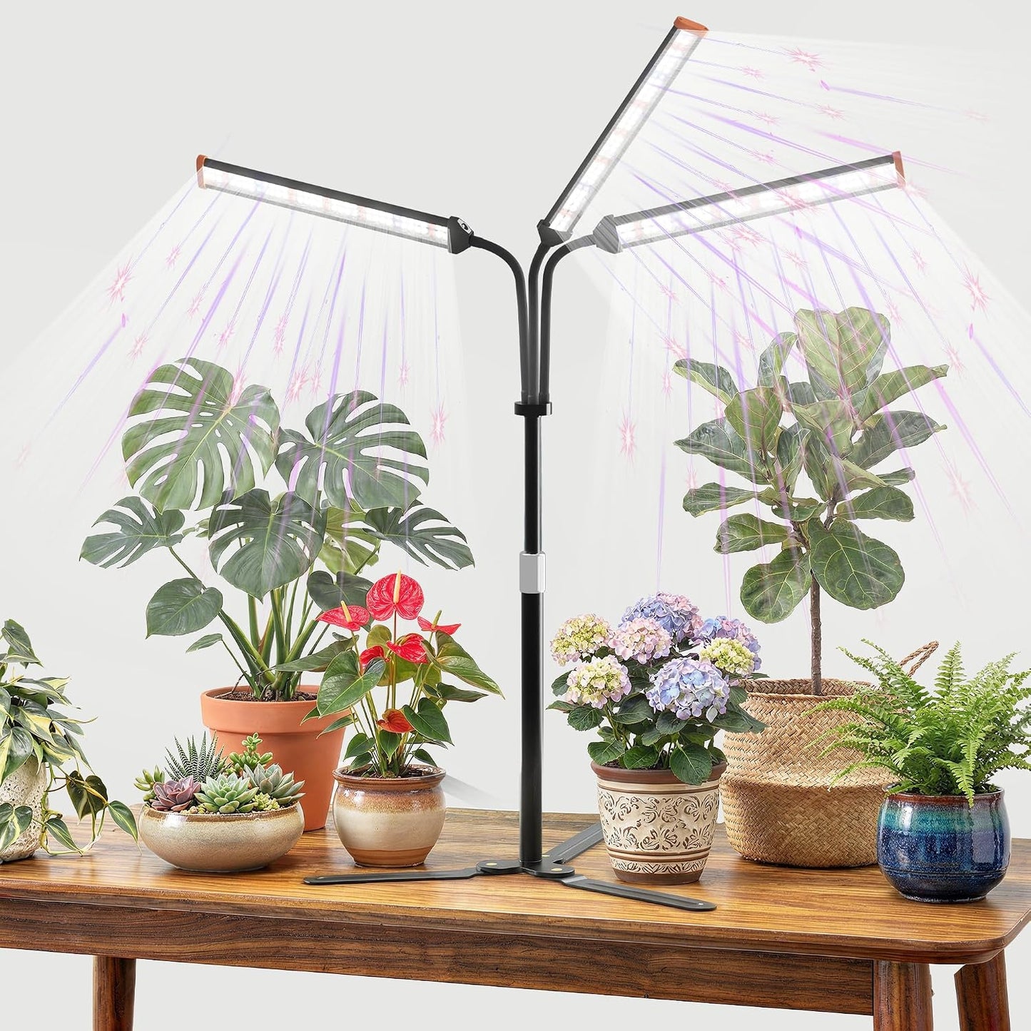 Luz cultivo espectro completo 5000K LED para suculentas