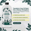 Fertilizante para plantas ZZ 16oz hojas brillantes