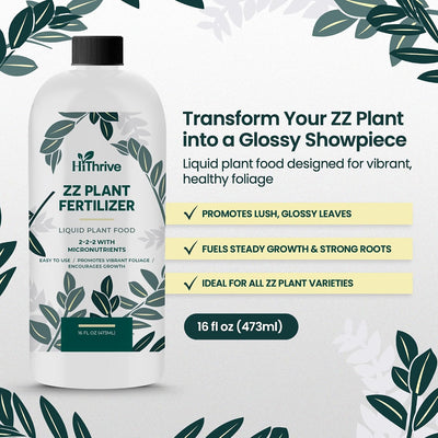Fertilizante para plantas ZZ 16oz hojas brillantes