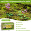 Musgo Sphagnum Verde Natural 25qt para Plantas en Maceta