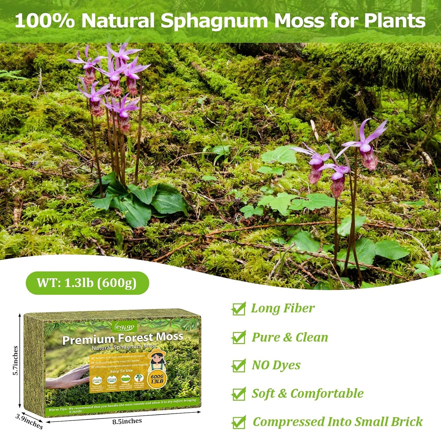 Musgo Sphagnum Verde Natural 25qt para Plantas en Maceta