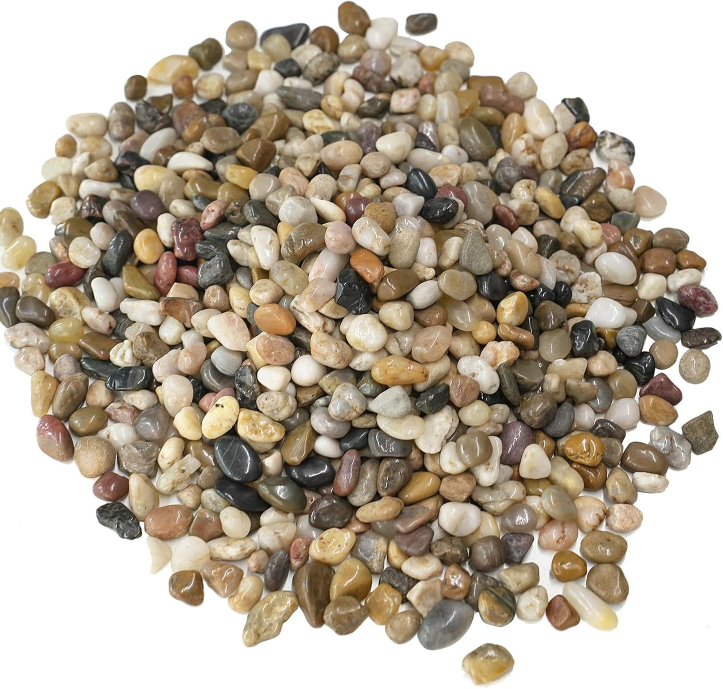 Guijarros 2.5lb para plantas interior 3/8" altamente pulida