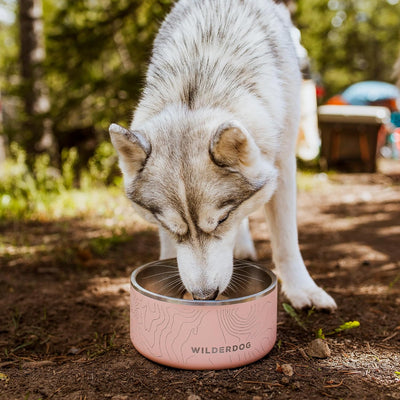 Cuenco perro acero inox antiderrap 64oz libre de BPA