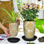 5 Pzas Platillos Plástico 10" para Plantas Interiores