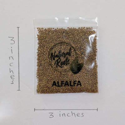 Pack 10 semillas germinadas brócoli alfalfa rábano