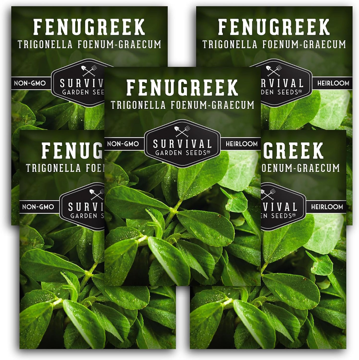 5 Pack Semillas Alholva Samudra Methi para Huerto Casero