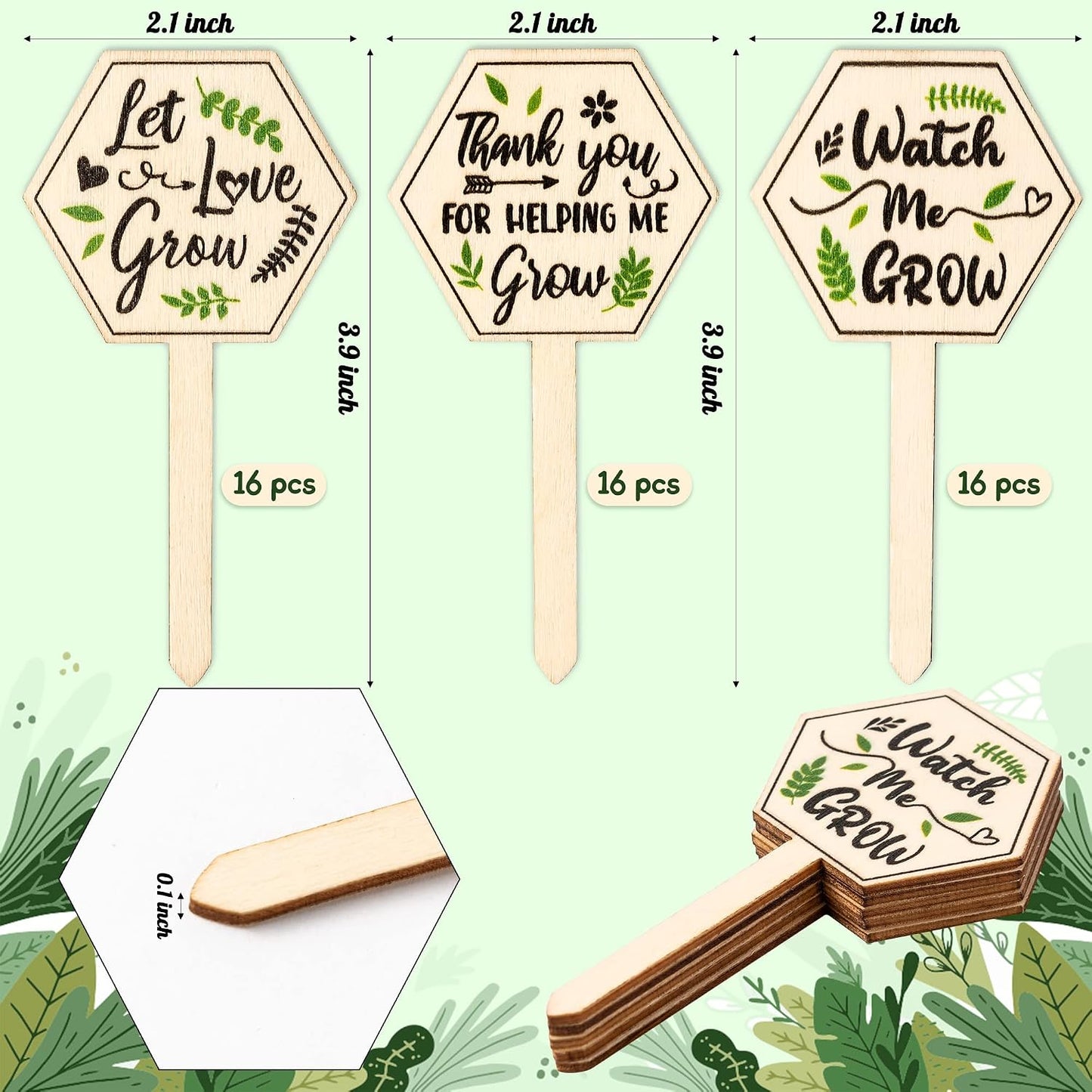 48 Etiquetas Madera Suculentas Letrero Watch Me Grow