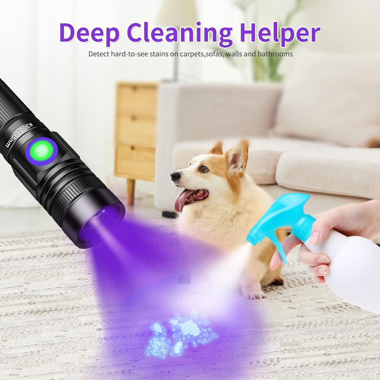 Linterna UV 395nm recargable para resina y orina mascotas