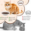 3 Pzas Cuencos Cerámica para Gatos Plano Blanco Base Antiderrap