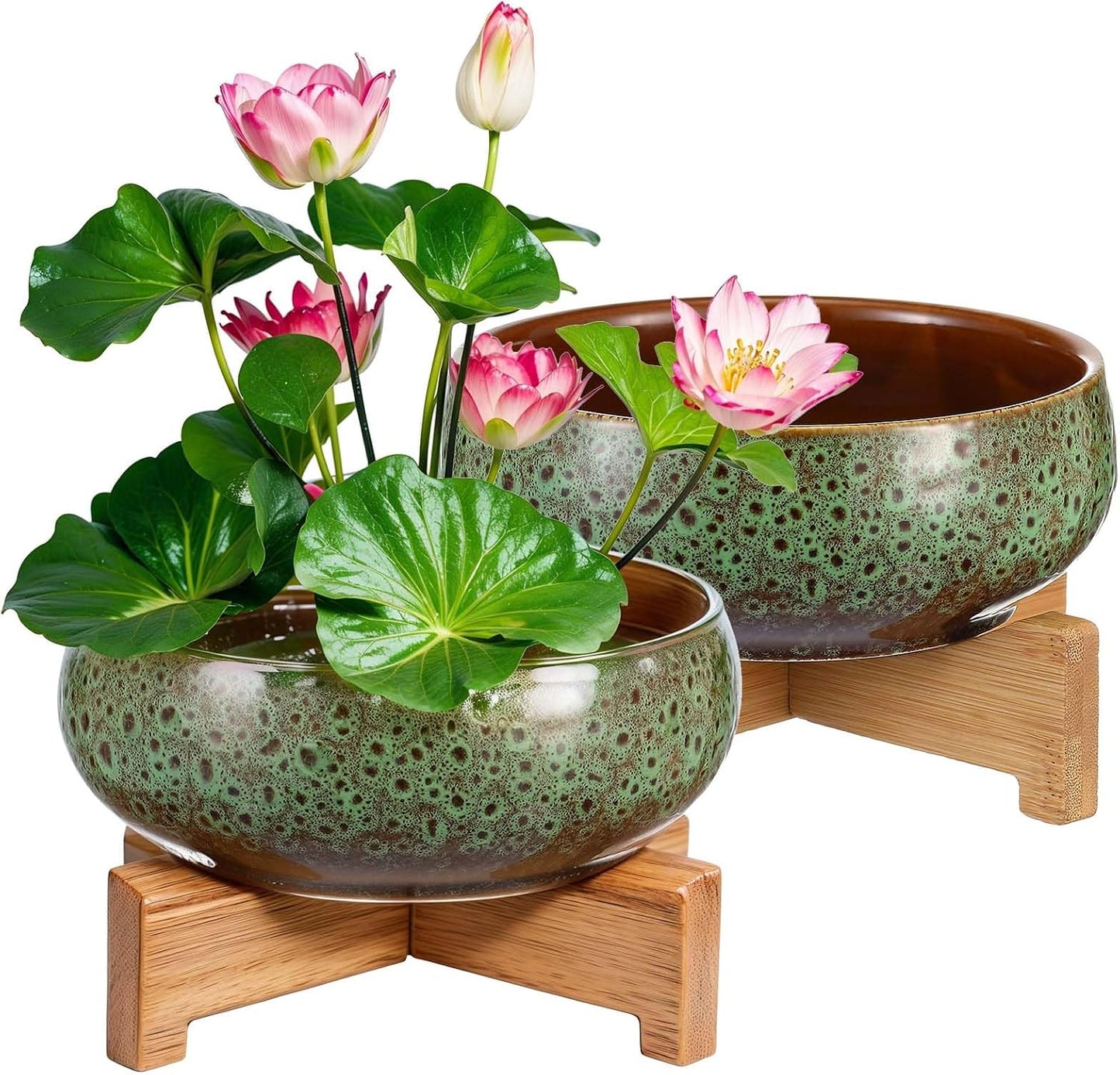 2 Macetas Hidropónicas Cerámica para Plantas