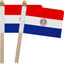 Banderas mano Paraguay 5x8pulg pack 12