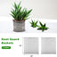 6 Pzas Cestas Raíces Acero Inox Reutilizables Anti Goteros
