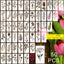 102 Plantillas Flores Silvestres Reutilizables Plástico