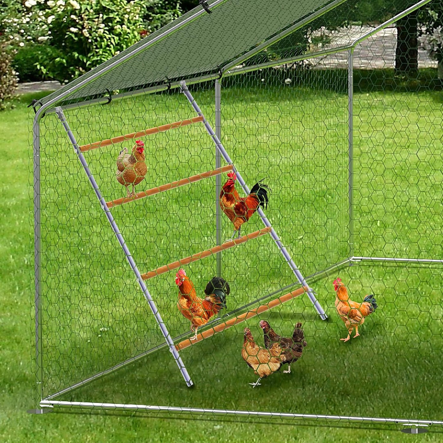 Percha gallinero escalera pollo 55x40"