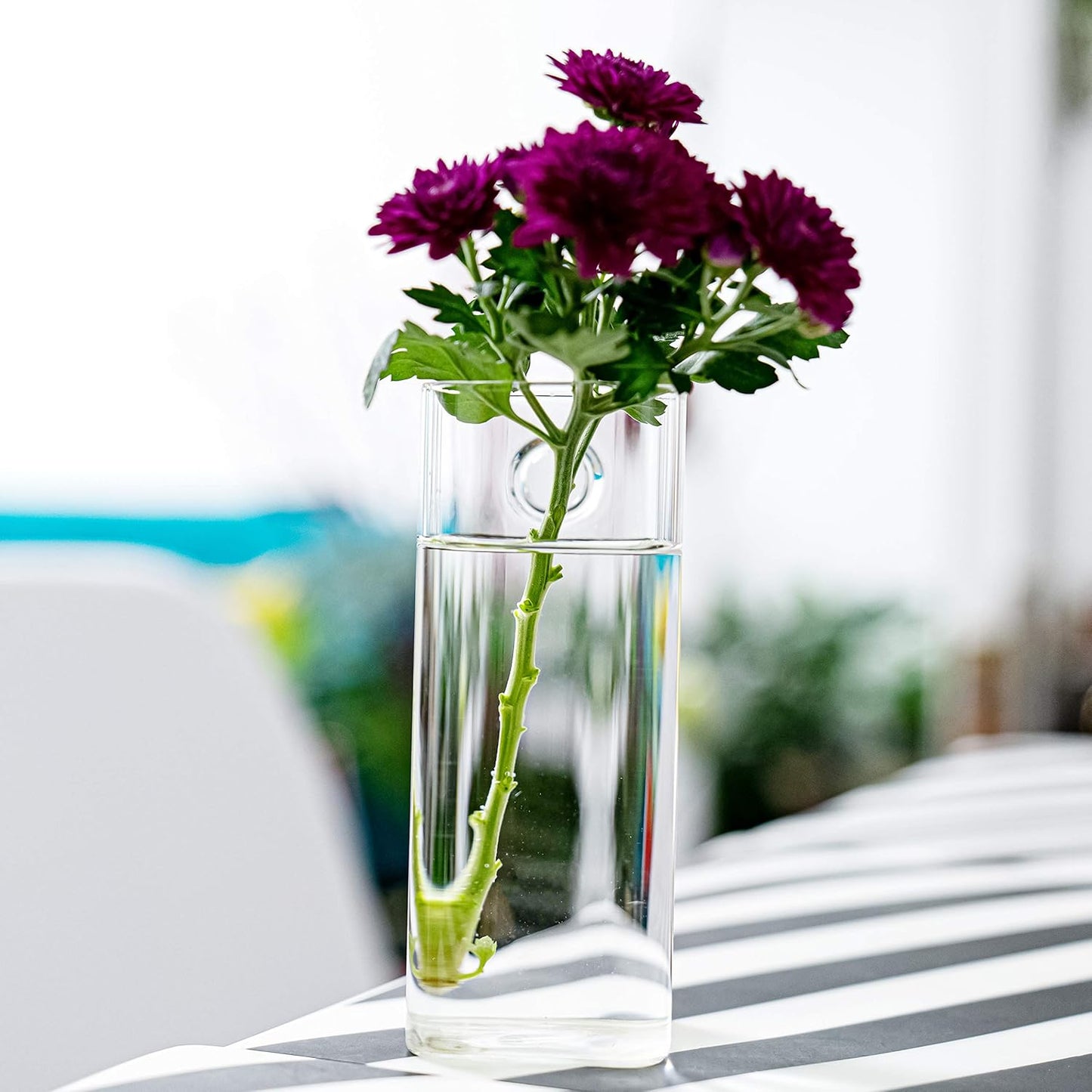 Macetero colgante terrario cristal soporte plantas