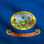 Bandera Idaho 2x3ft 100% poliéster resistente UV