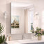 Botiquín baño aluminio templado plateado 24x32pulg con