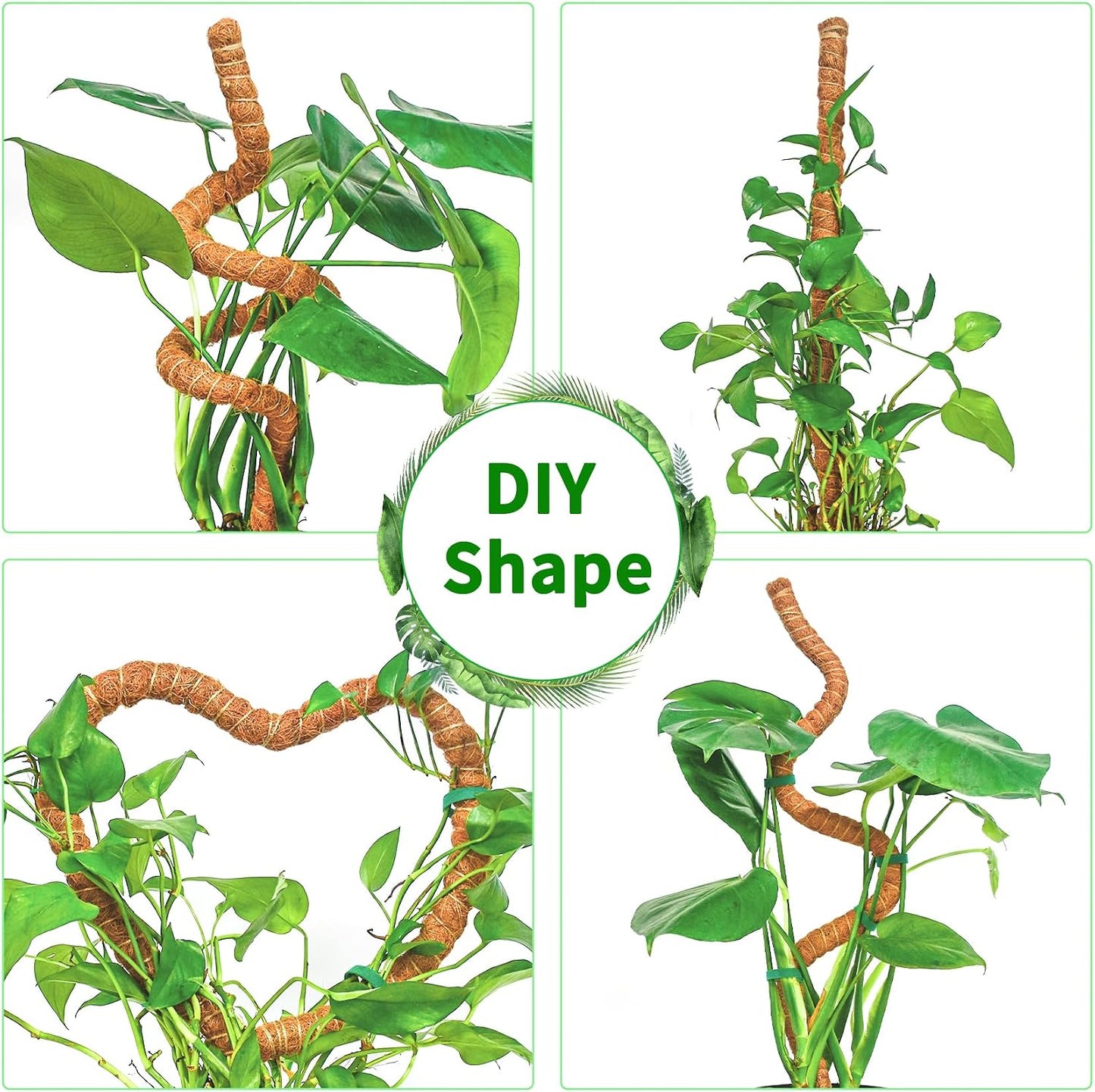 2 Postes Musgo Coco 39pulg para Trepar Plantas Interior