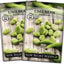 Semillas frijol Fordhook Lima Bush para plantar en huerto