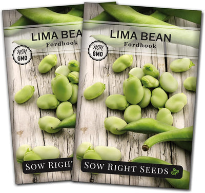 Semillas frijol Fordhook Lima Bush para plantar en huerto