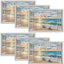 6 Manteles Tortuga Marina 12x18pulg Lavables Hogar