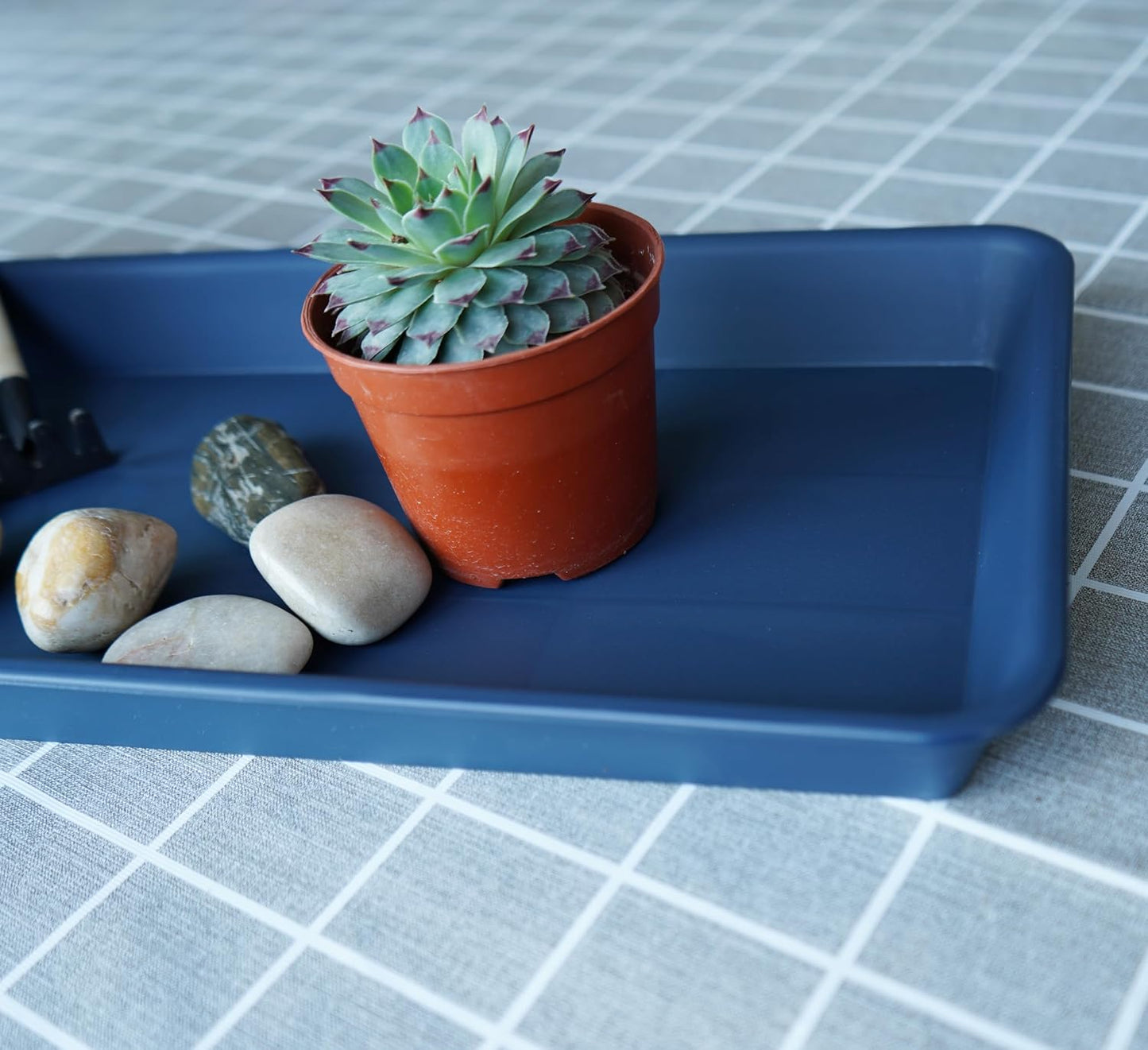 2 Bandejas Plástico Rectangular 61cm para Plantas Azul