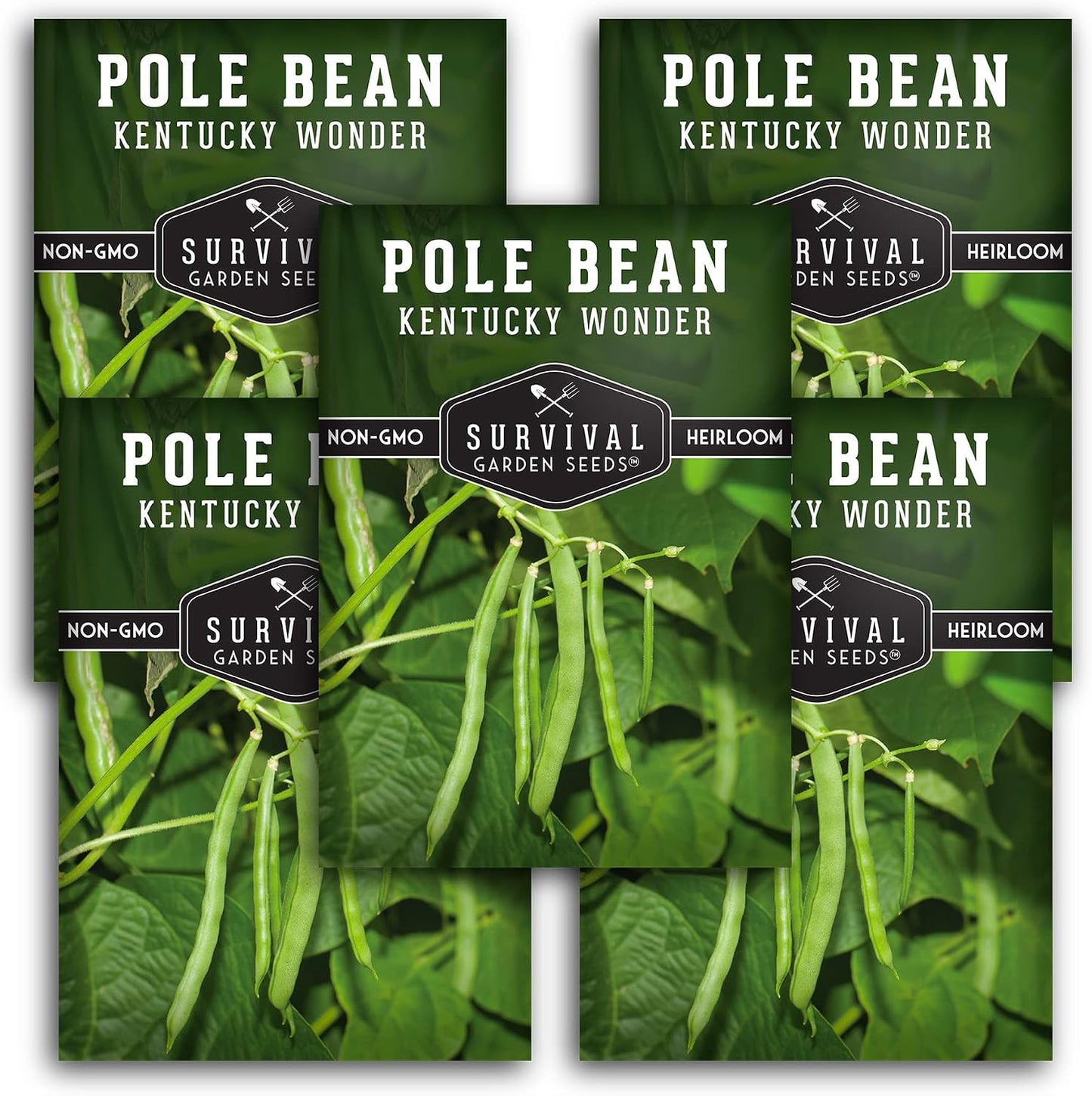 Semilla frijol Wonder Pole Kentucky 5 paquetes con instrucciones