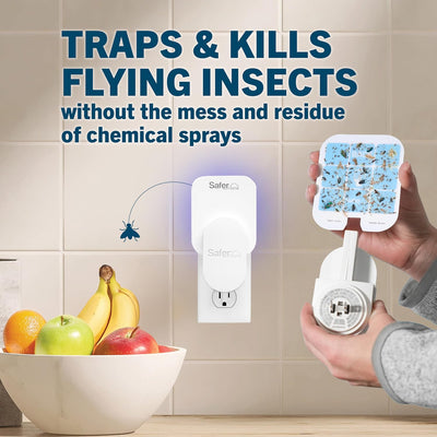 Trampa enchufe Safer Home para moscas frutas interiores 400ft²