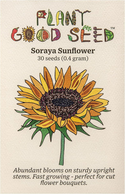 Semillas girasol Soraya orgánicas para flor cortada 30 pzas