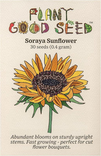 Semillas girasol Soraya orgánicas para flor cortada 30 pzas