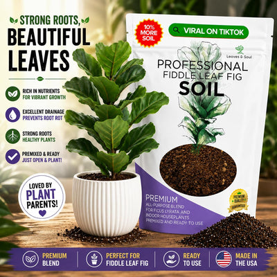 Tierra para plantas interior higuera hoja violín 2.2qt