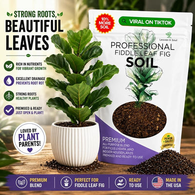 Tierra para plantas interior higuera hoja violín 2.2qt