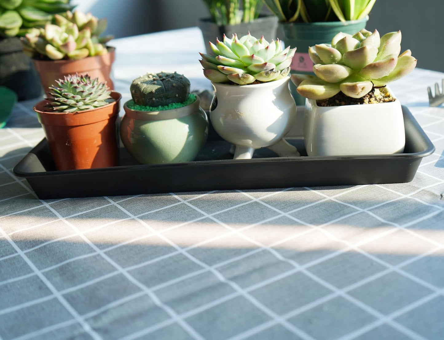 4 Bandejas Plástico Rectangulares 16" para Plantas